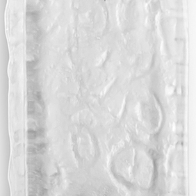 Clear Frosted 