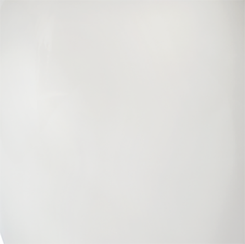 Venetian White 